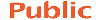 PUBLIC LOGO